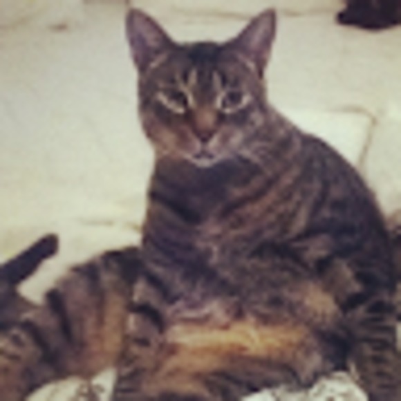 Meet your Posher, Andrea - Picture 1 of 1